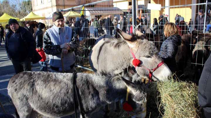 L'arca di Noè arriva ai Quercioli