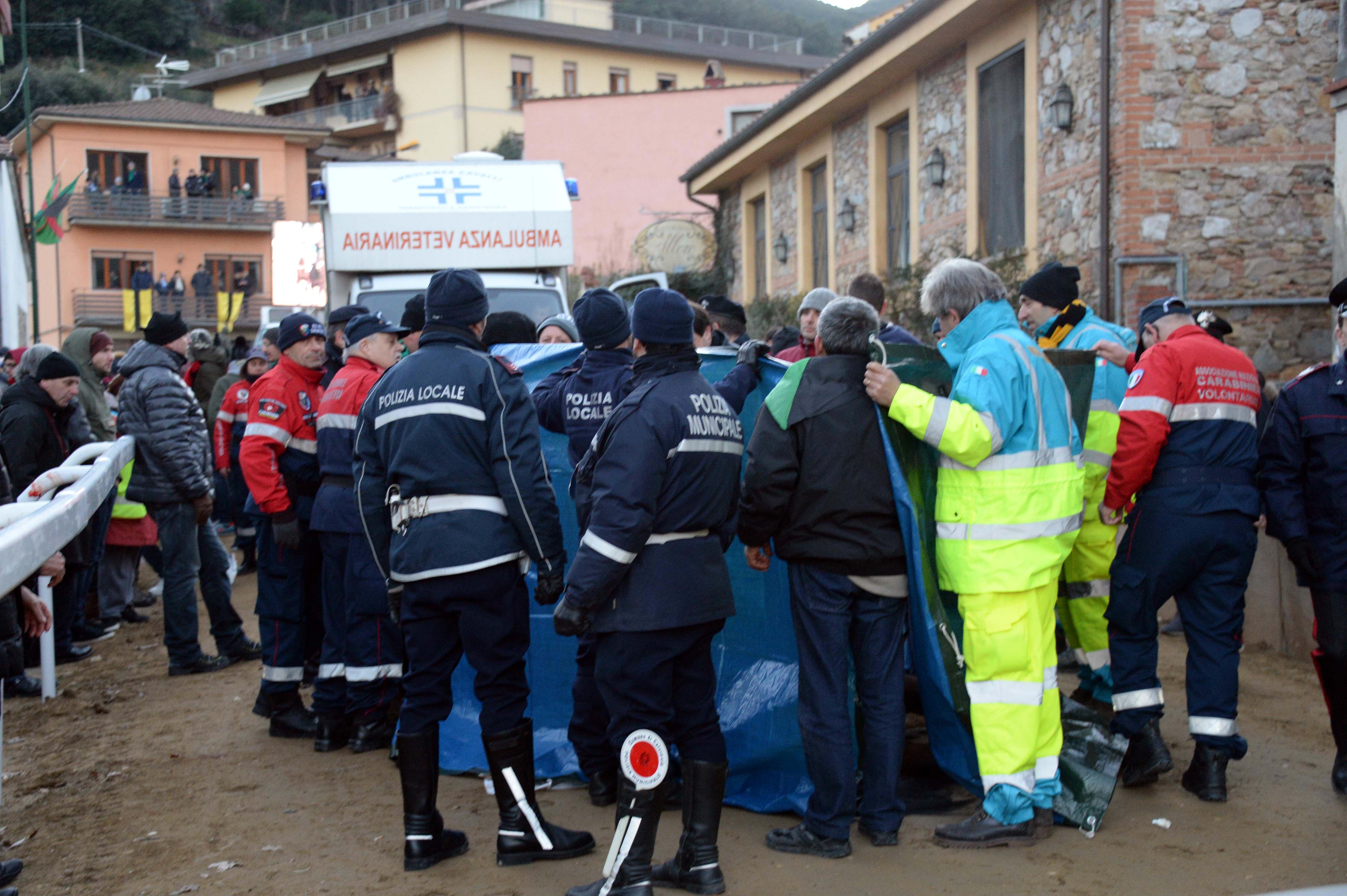 I soccorsi al cavallo caduto (Foto di Franco Silvi)