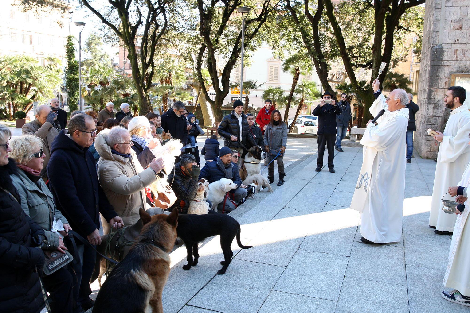 Don Mario Avella impartisce la benedizione agli animali sul sagrato della Basilica di Montecatini (Foto Nucci)