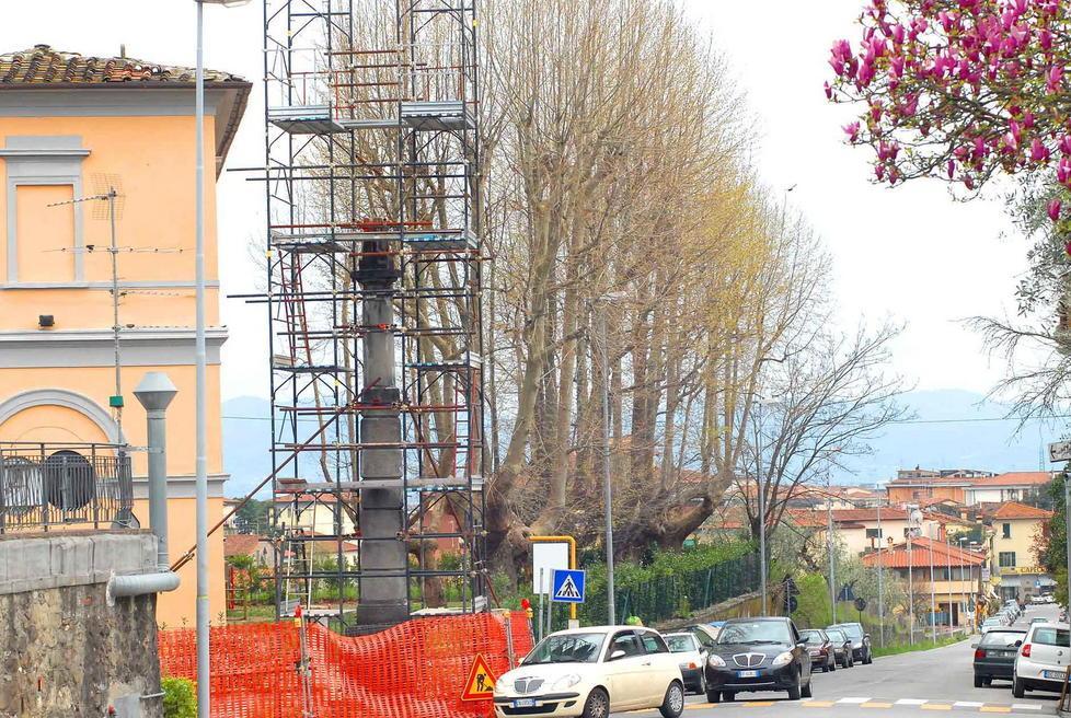 Arriva il debito fuori bilancio per il monumento a Linneo
