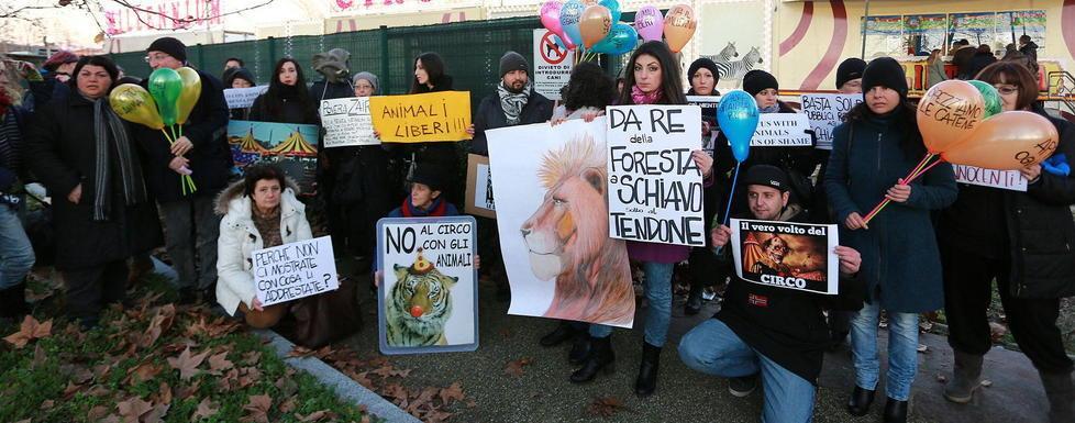In cinquanta contro il circo con gli animali 