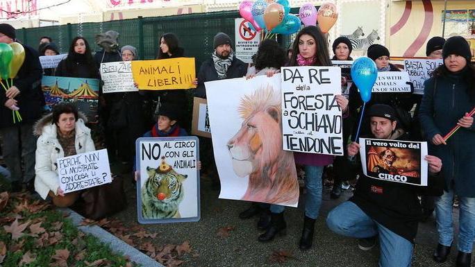In cinquanta contro il circo con gli animali