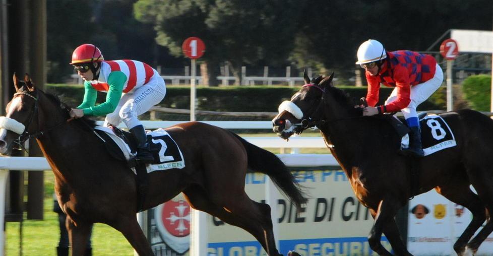 Ippica, un premio dedicato al ricordo di Ersilio Verricelli 