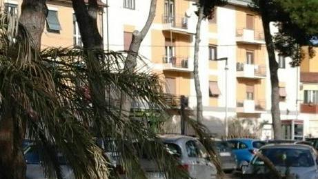 Il giardino di nuovo invaso dai rami