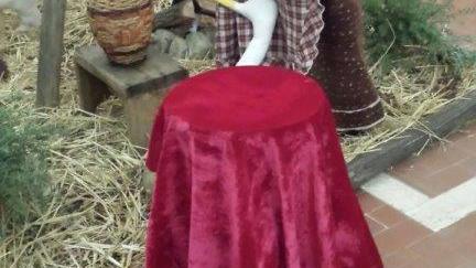 Rubano la cassetta delle offerte per un bimbo malato