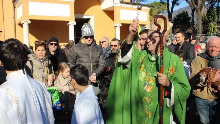 Arriva l’arca di Noè: il vescovo benedice centinaia di animali