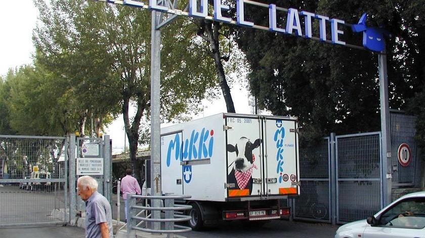 Mukki, la giunta insiste «Venderemo le quote»