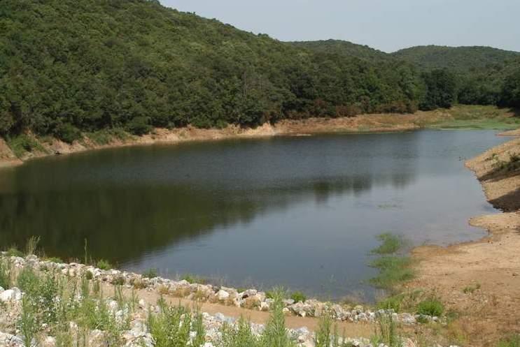 Troppi metalli nel lago A Bicocchi valori choc 
