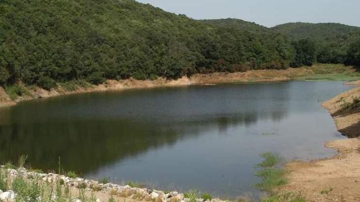 Troppi metalli nel lago A Bicocchi valori choc