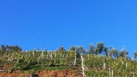 E a Massa 16 posti “anti alluvione”