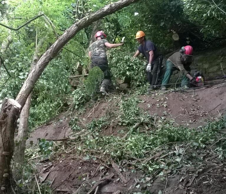 Dieci operai forestali trasferiti all’Unione