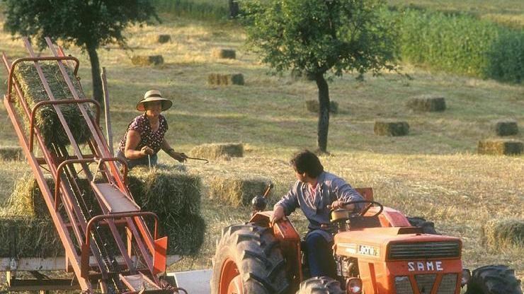 Maremma al top in Italia per voglia di aprire attività