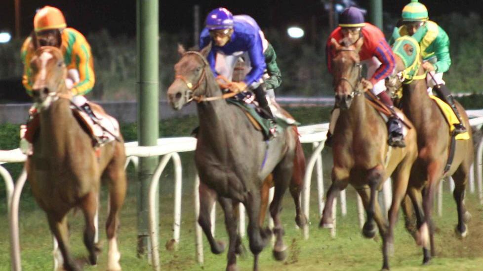 Ippodromo, disgelo fra i due pool