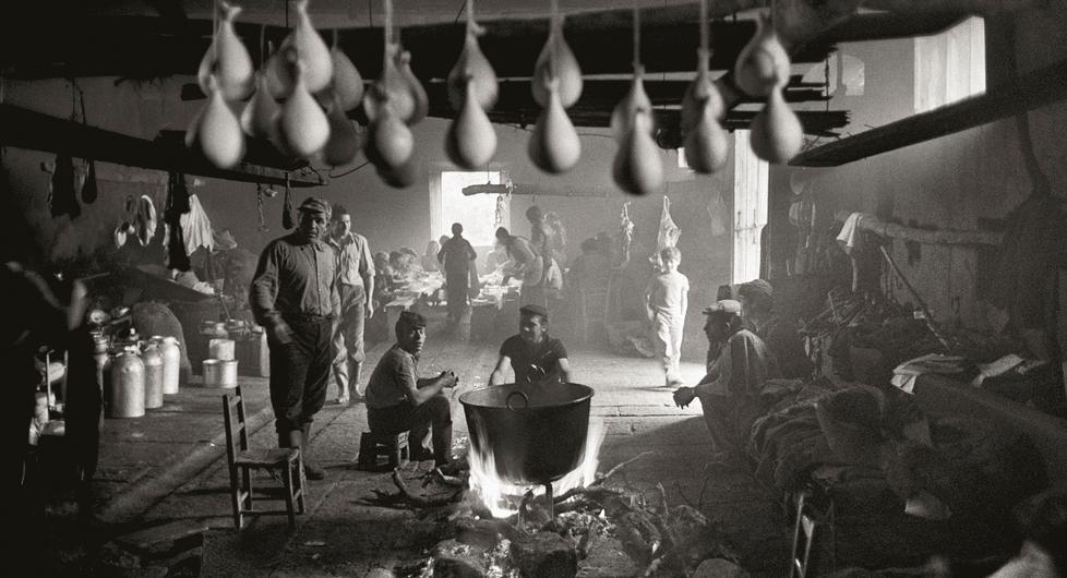 I cibi del pastoralismo La storia millenaria del formaggio sardo