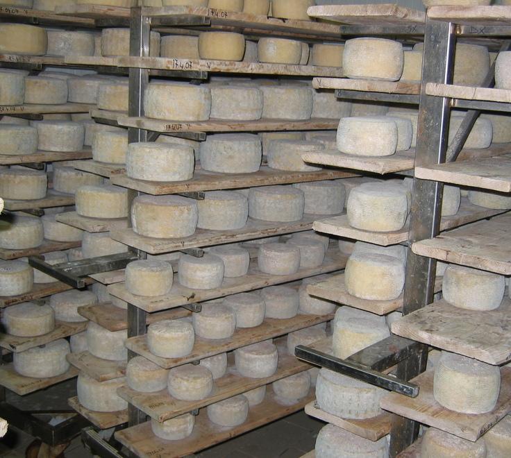 Caseificio verso il rilancio, il Comune cerca privati 