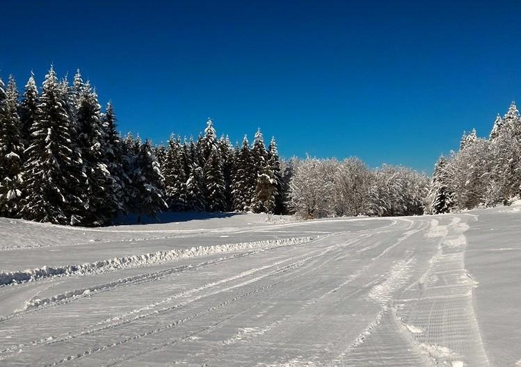 Neve, è boom di sciatori La mappa delle stazioni