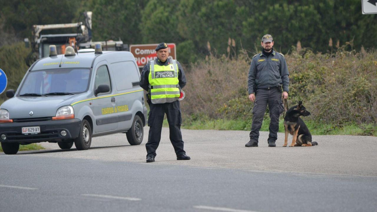 La finanza di Piombino con il cane antidroga