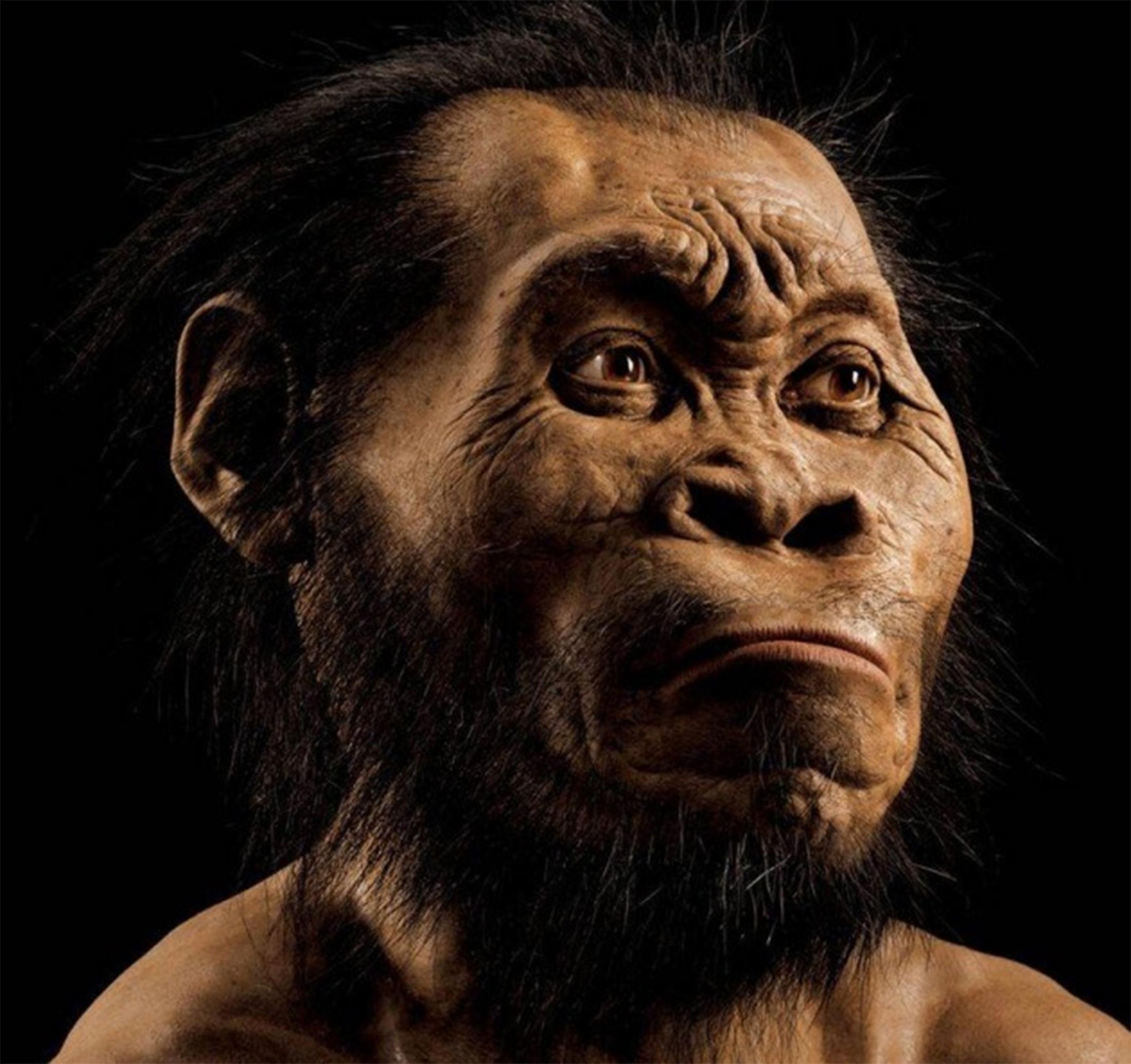 L'Homo di Naledi: i suoi segreti illustrati da Damiano Marchi