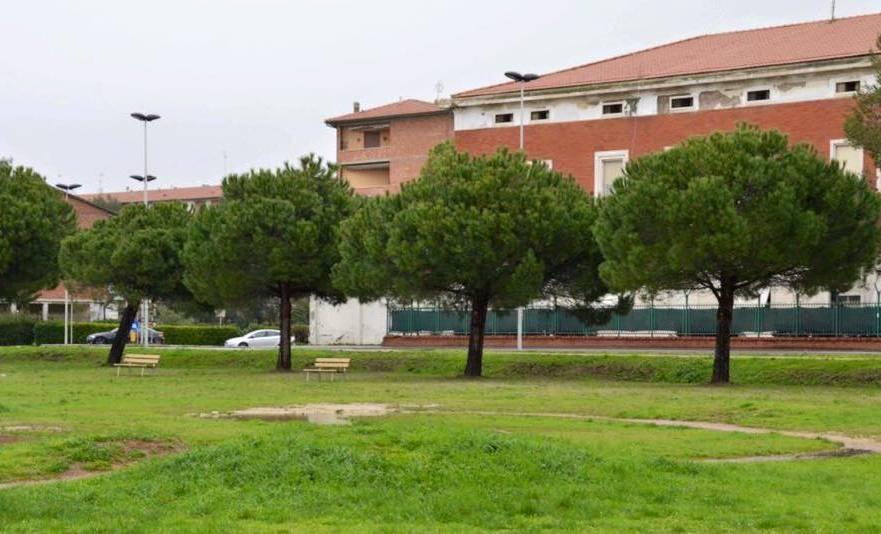 Polpette avvelenate e chiodi contro i cani all’Ardenza 