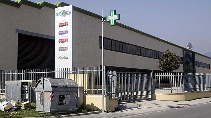 Macolive annuncia l’avvio della mobilità per 14 dipendenti