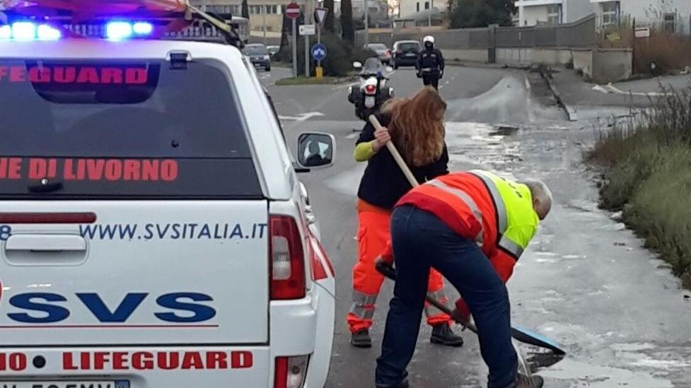 Allarme ghiaccio, arriva lo spargisale