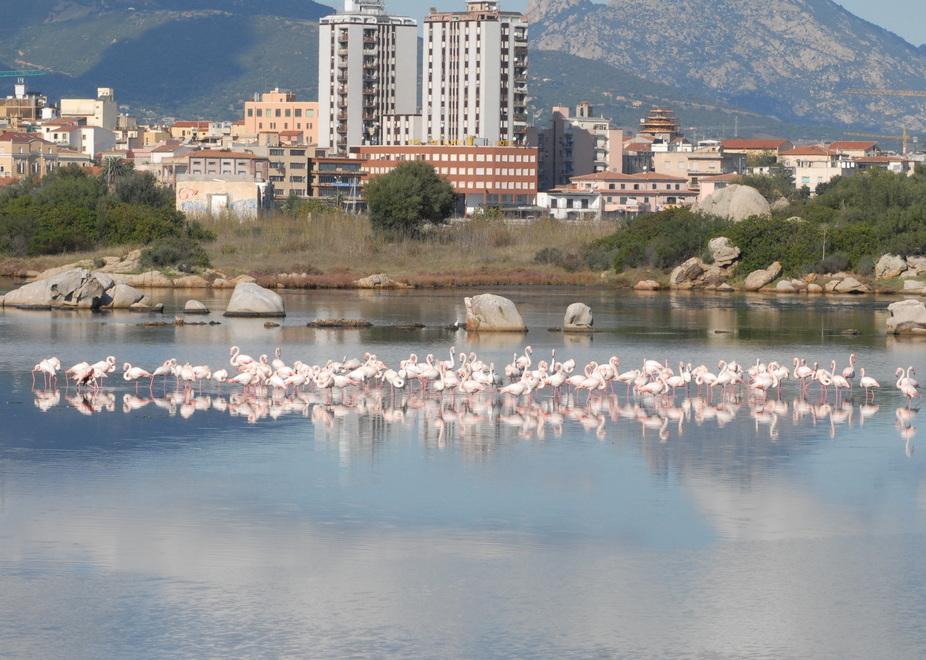 L'area di intervento programmato dal Comune di Olbia