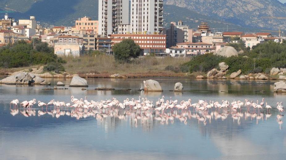 L'area di intervento programmato dal Comune di Olbia