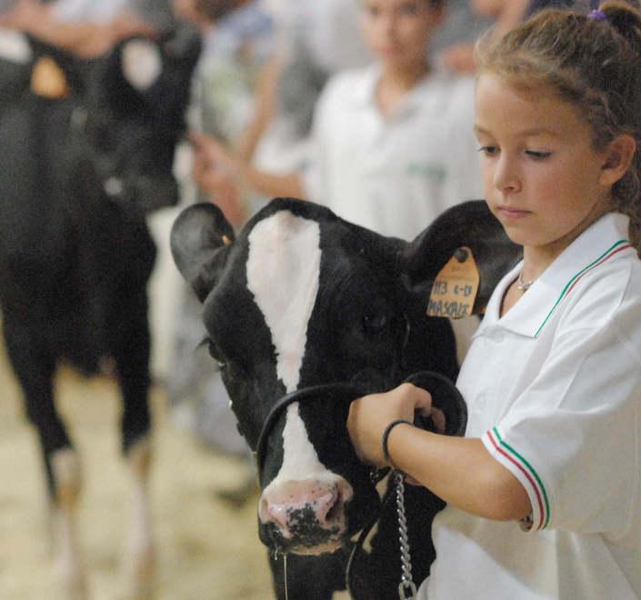 Parmigiano Reggiano protagonista a Bovimac 