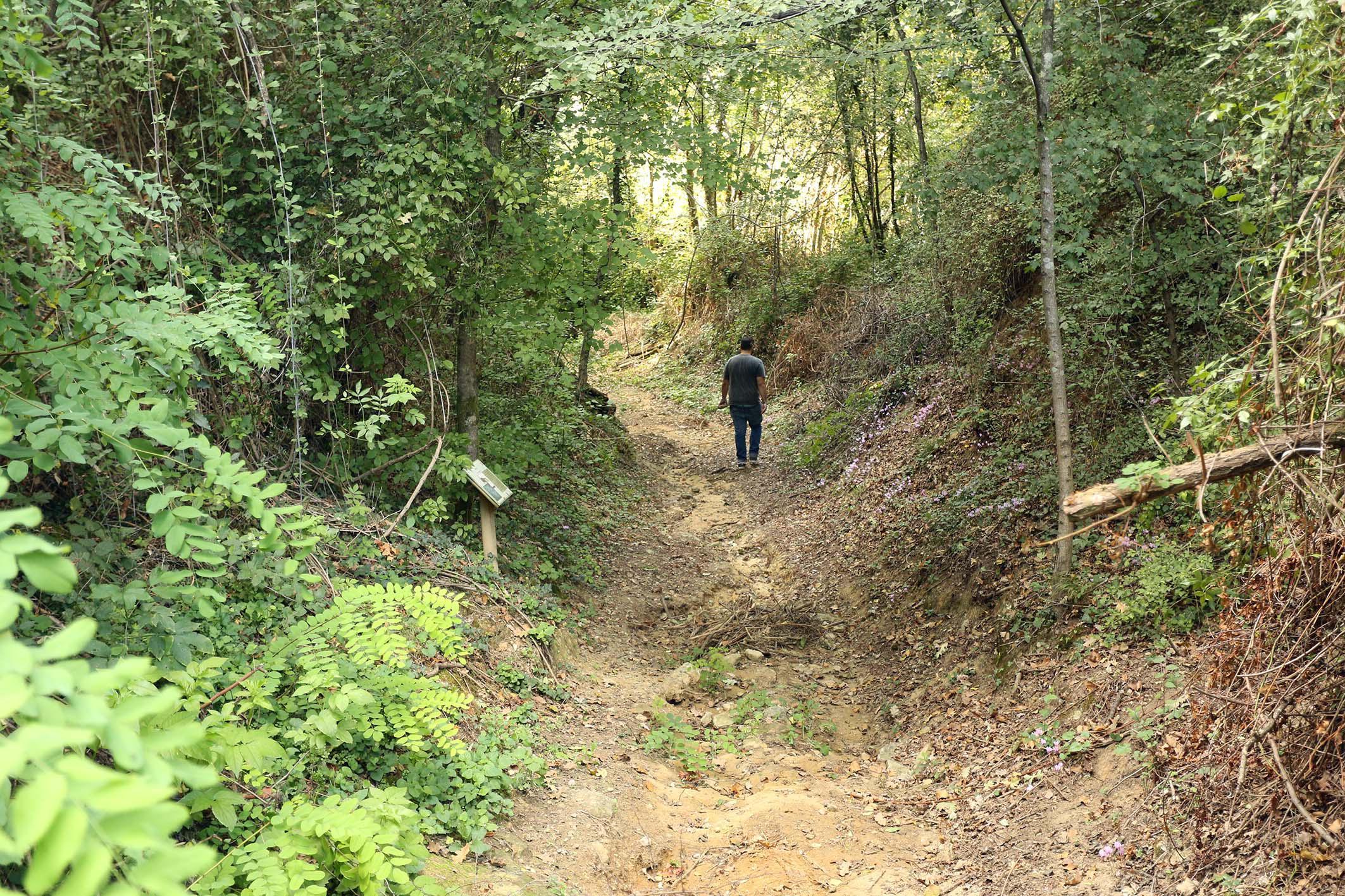 Il bosco delle Cerbaie in mano agli spacciatori: task force per "riconquistarlo"