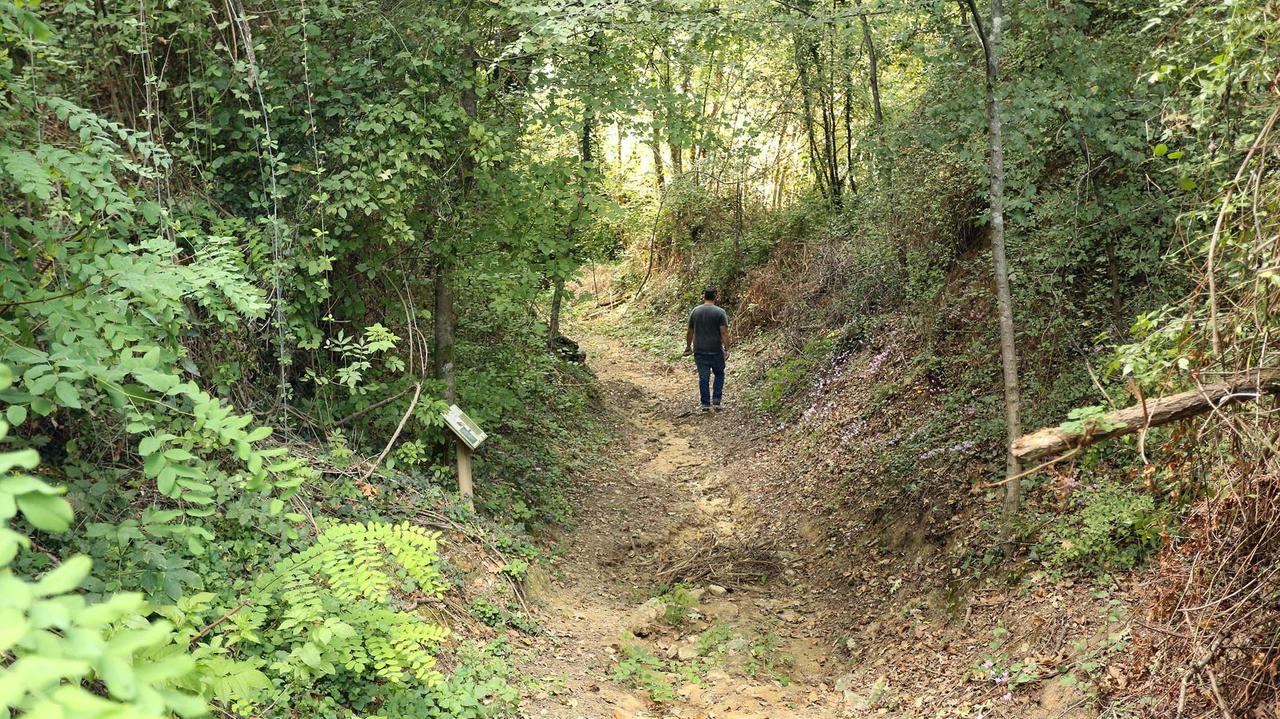 Il bosco delle Cerbaie in mano agli spacciatori: task force per "riconquistarlo"