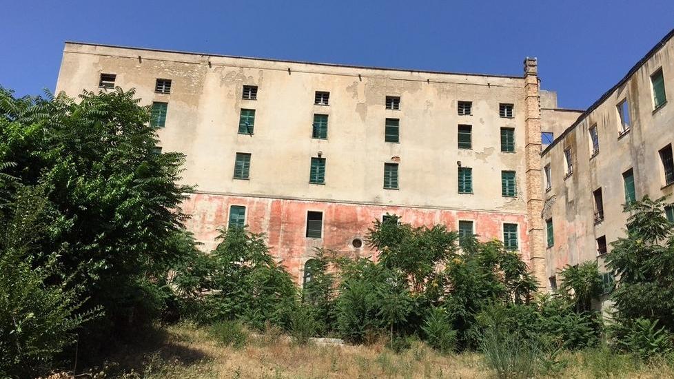 «Questo monumento deve ricordare don Franceschino»
