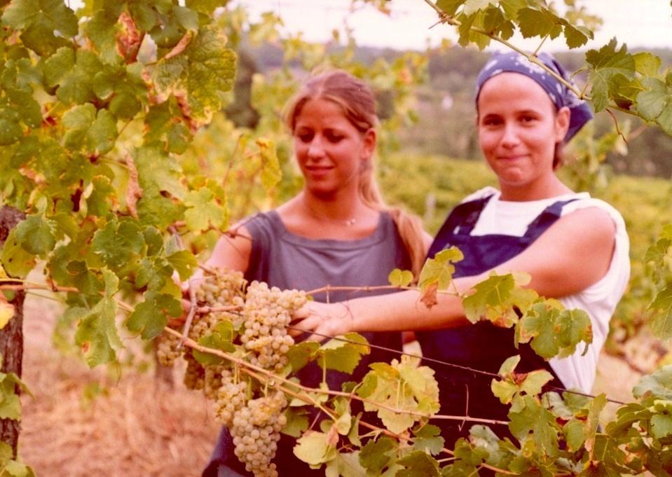 Giovani al lavoro nei campi 