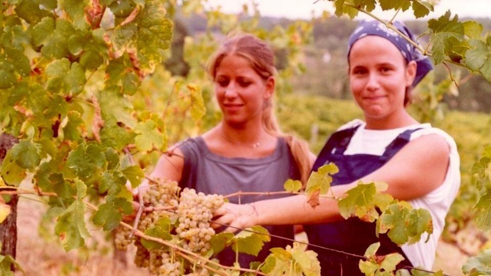 Giovani al lavoro nei campi