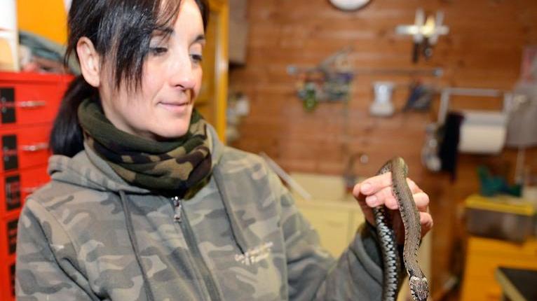 La clinica degli animali unica in Italia