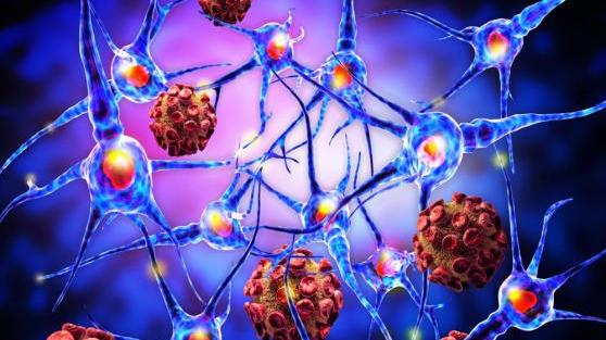 Incubo meningite in Toscana, l'emergenza affrontata in ordine sparso