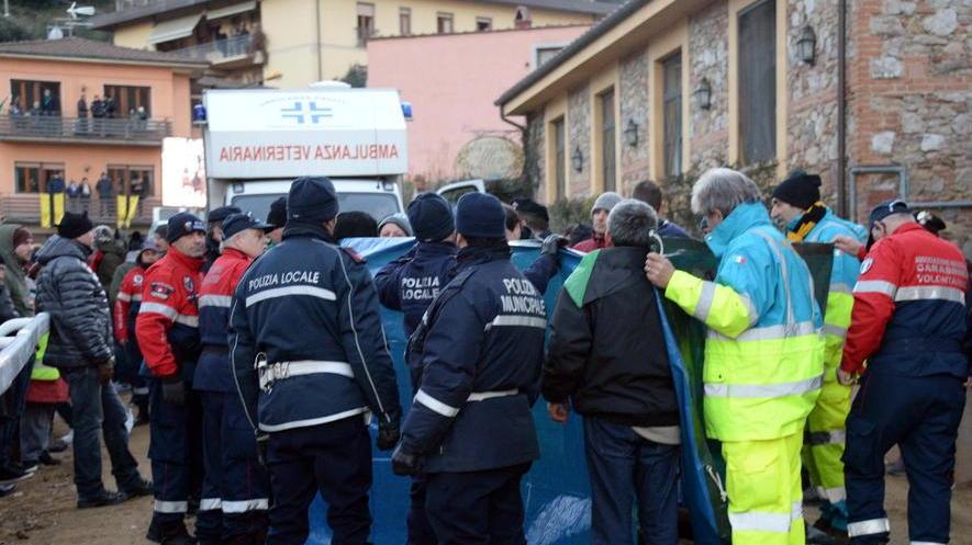 Cavallo morto, si attendono gli esami