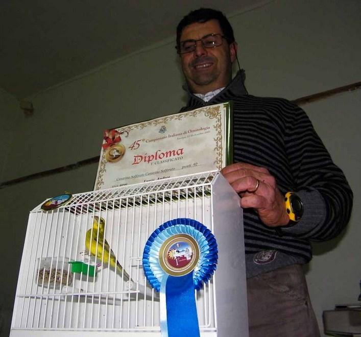 Strage di canarini al campionato mondiale in Portogallo 