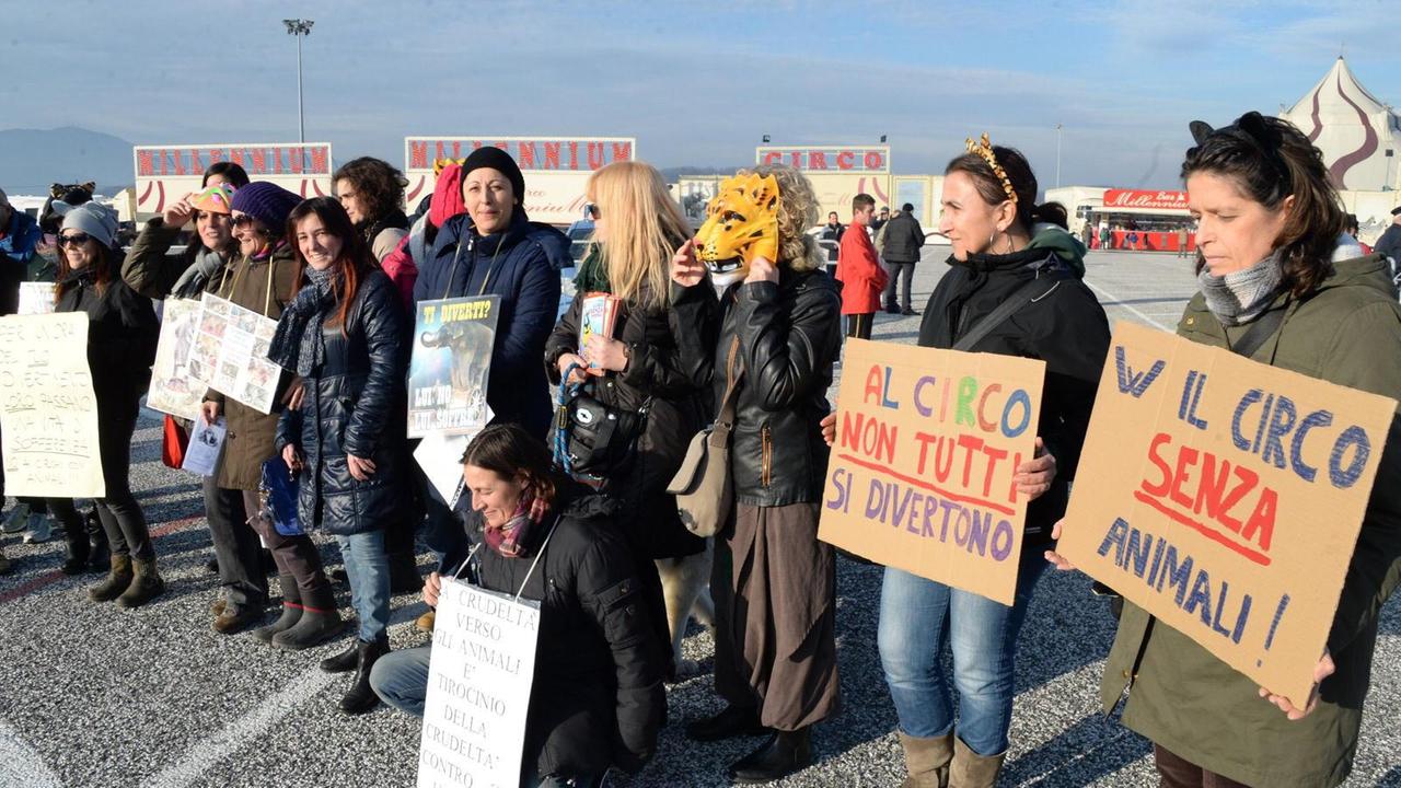 La protesta animalista davanti al circo Millennium a Pontedera (Foto Franco Silvi)