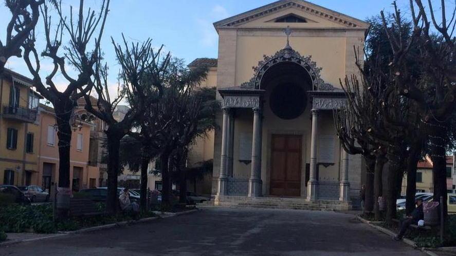 Le potature dividono in due i cittadini