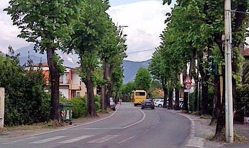 Ghiselli: il nuovo Conad si può cancellare