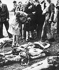 «Intitoliamo una via ai martiri delle foibe»