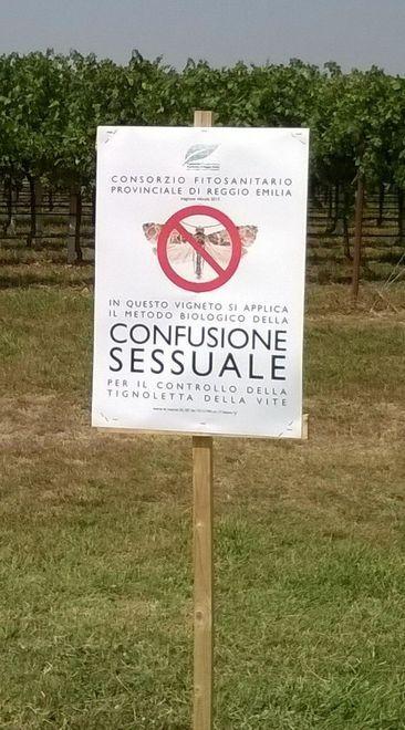 Tre milioni per il diserbo naturale 