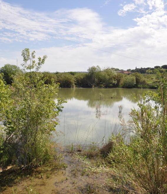 Uno spicchio di natura tra il fiume Cecina e la Magona
