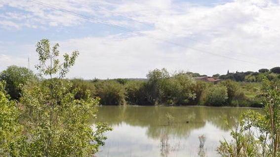 Uno spicchio di natura tra il fiume Cecina e la Magona