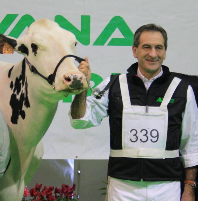  Gianluca Dotti, primo premio alla mostra bovina Bovimac 