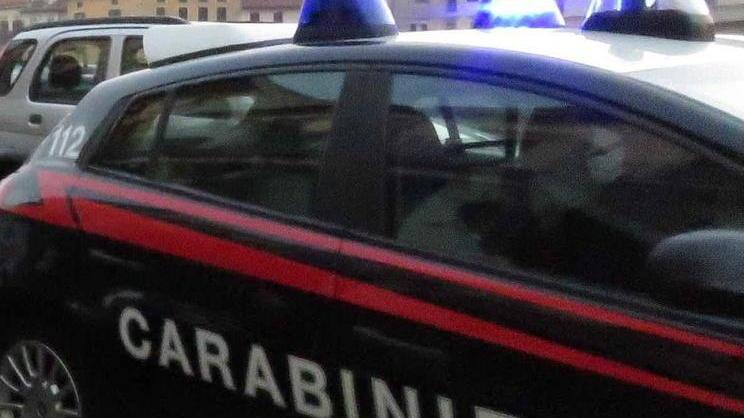 Ladri beffano i vigilantes e rubano 2.500 litri d’olio