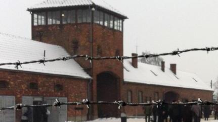 Giornata della memoria, gli eventi