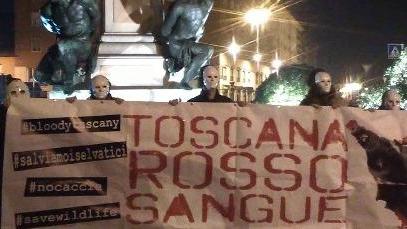 Blitz animalista a difesa dei cinghiali