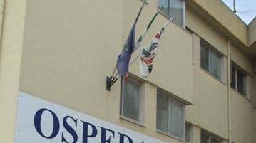 Lo accoltella al fianco dopo una lite per la pianta rovinata
