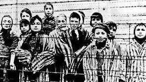 Shoah, tanti eventi nelle scuole